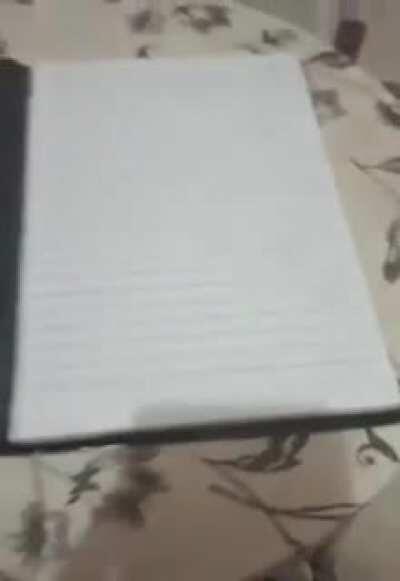 kira volta à vida para resolver um assunto pertinente