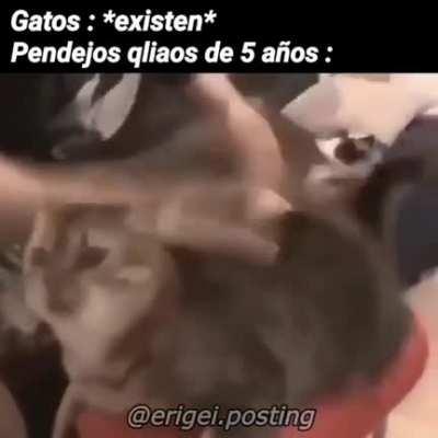 Simplemente la cruda realidad