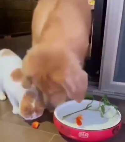 Respeto máximo 🥺