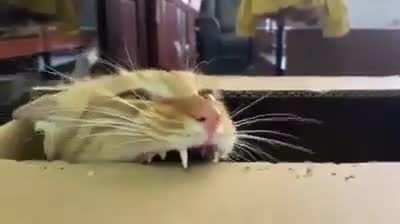 The hole puncher looks kinda weird