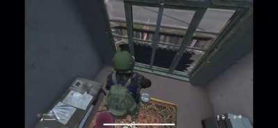 Don’t f*ck with bears