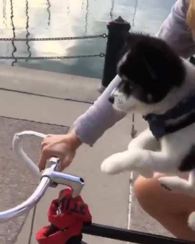 Swim exe needs some work...