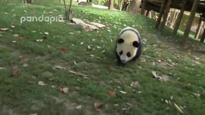 I'd give you a hand but you seem to have a firm handle on things...