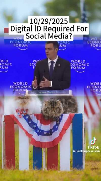 Spain PM Pedro's Digital ID Warning