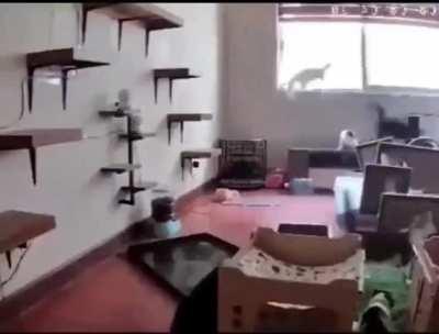 I had to add music to this video. It's perfect.