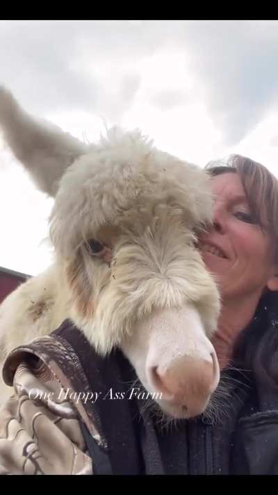 aTTenTioN sEEkiNg A$$