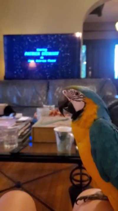 Every. Single. Time.