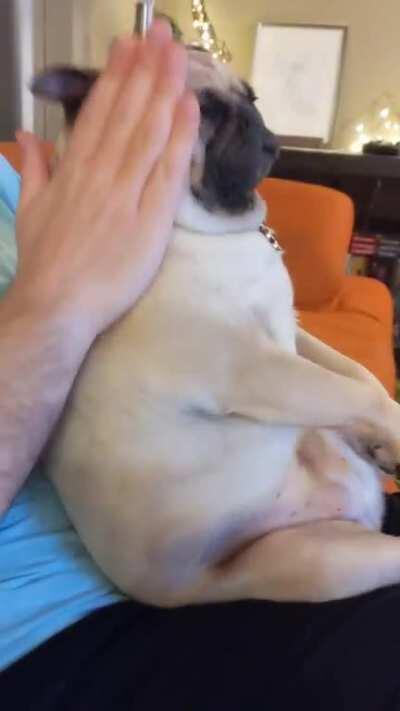 What a pliant bag of wrinkles she is ❤️