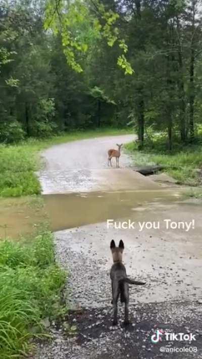 The new Animal Planet