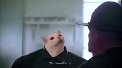 SHOW ME YOUR WAR FACE!!