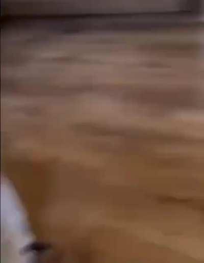 An offer you can't refuse