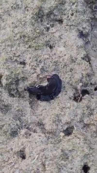 Consumed by darkness