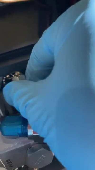 Ah, yes, Florida Man Engineering strikes again. Piper’s infinite wisdom never ceases to amaze me.