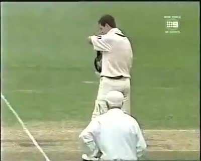 Ricky ponting abuses javagal srinath 