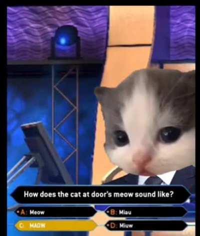 Who wants to be a millionare