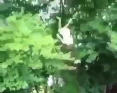 Im always scared of trampolines