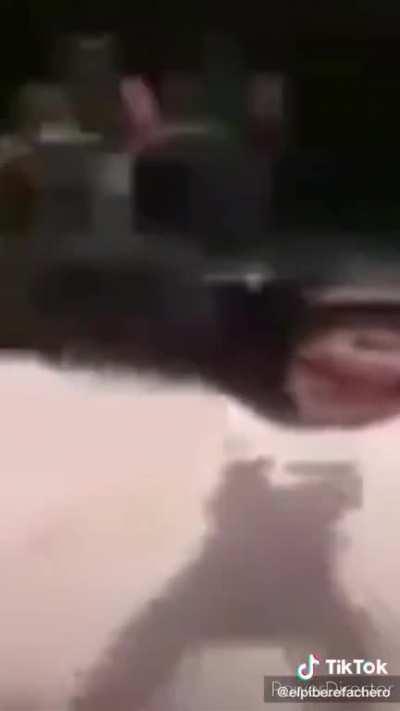 Aora con linckin parc 😎😎