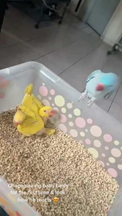 What doinâ baby?