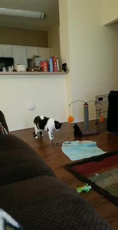 but he's just a little guy