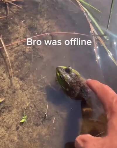 Bro was offline