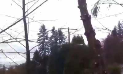 WCGW when you fail to plan, you plan to fail. Or the tree fails in your house.