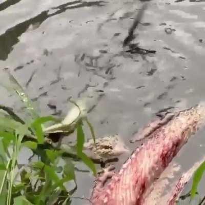 Apparently this is called the 'death roll'