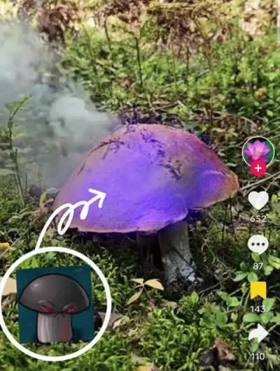 OK, WHICH ONE OF YOU IDIOT ALCHEMISTS HAS BEEN BLOWING UP THE MUSHROOMS IN MY BACKYARD?