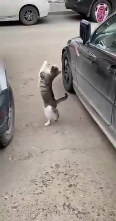 weird way to eat a sausage