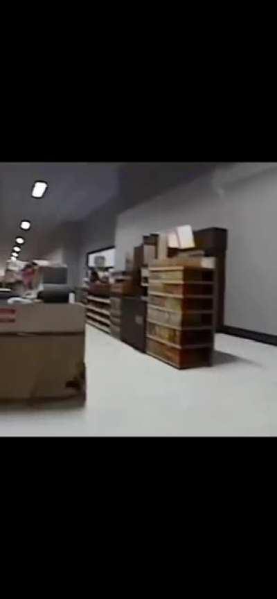 It would be cool if it was in a game 🐀