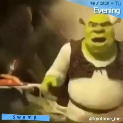 Burn My Shrek -Last Battle-