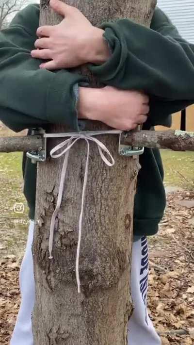 Tree contraption 