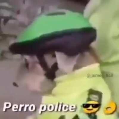 Dog police 🚓