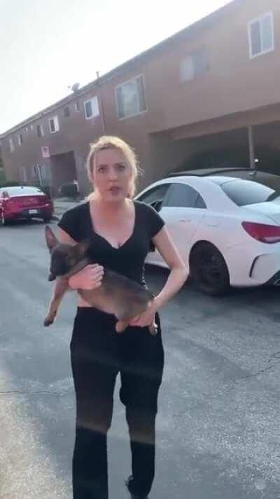 Deranged woman harasses man and throws puppy at him