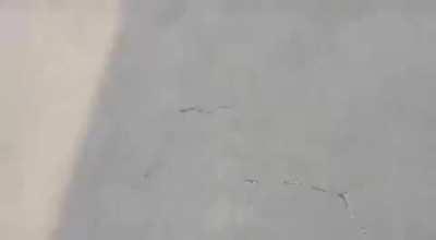 Beirut, Lebanon 20 minutes ago