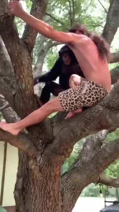 Come human return to MONKE