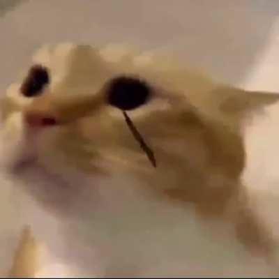 does anybody know the sample used in this video??