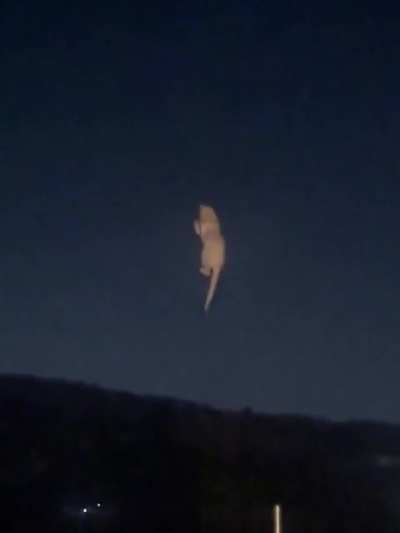 Wunkus is climbing on the FABRIC OF THE UNIVERSE!!!!!!!