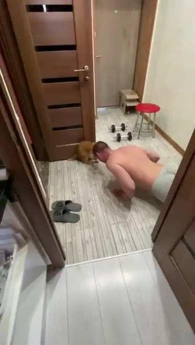 Come On, Twenty More To Go