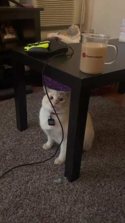 It’s all in the airplane ears