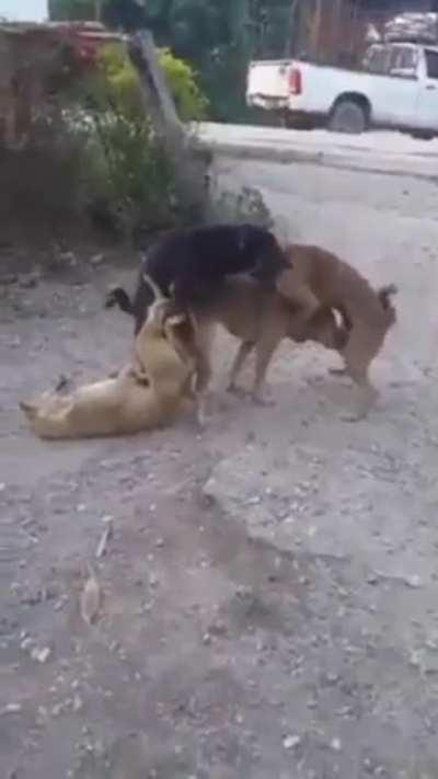 Панина не хватает