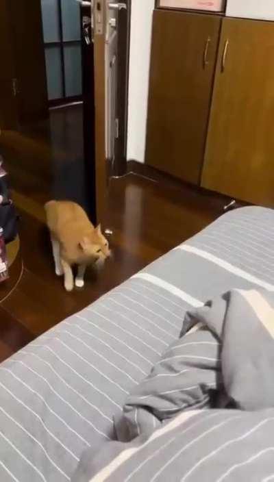 He would throw himself into bed