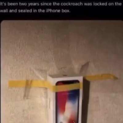 No mames 2 años cabron