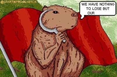 Mas sobre carpinchos en su habitat natural