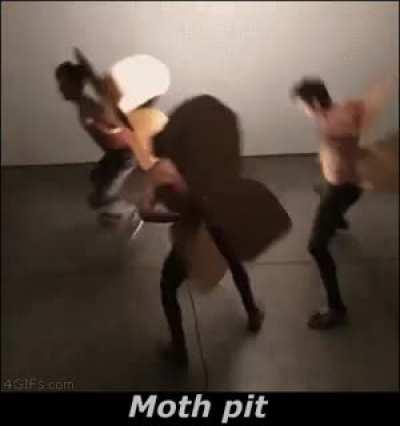 Moth