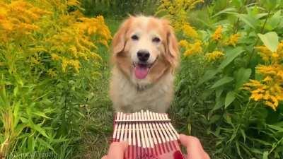 No gay porn this time. I promise