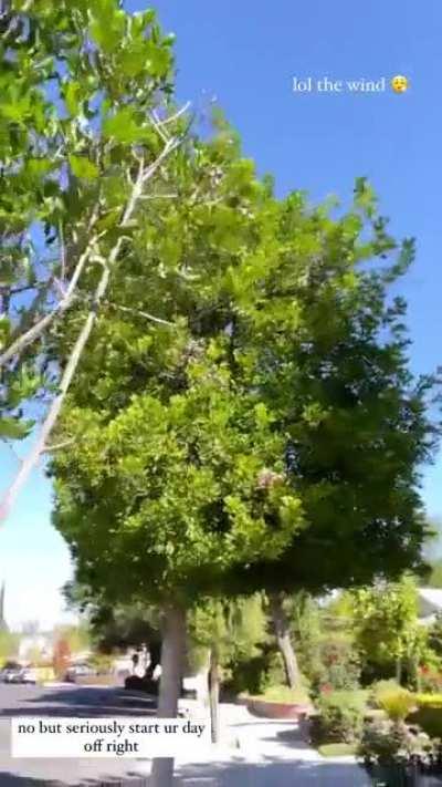 start ur day off right