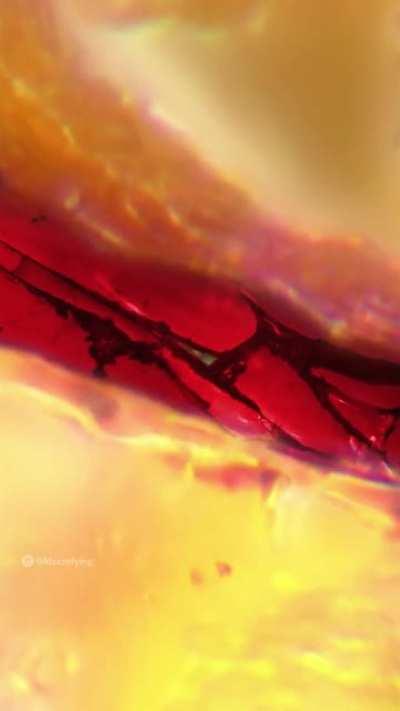 I zoomed into a Christmas ball.