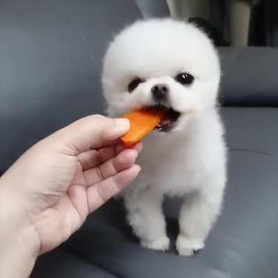 Hello all ❤️❤️