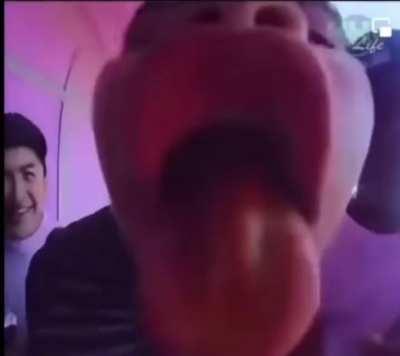 That power walk up to the doorbell tho