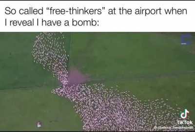 Ponder deeply and reflect on your own “freedom”.